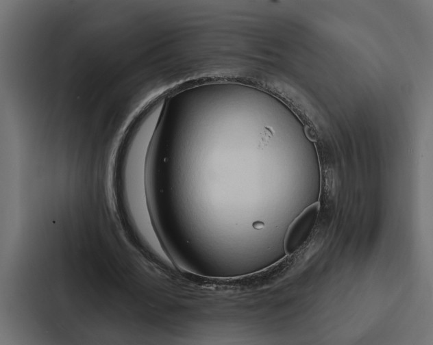 X0000087040676200705160931