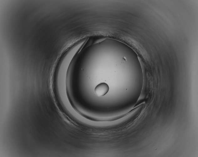 X0000087040677200705160931