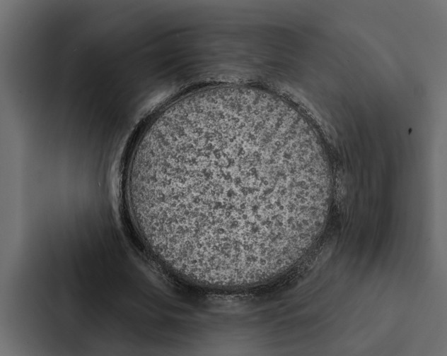 X0000087040679200705160931