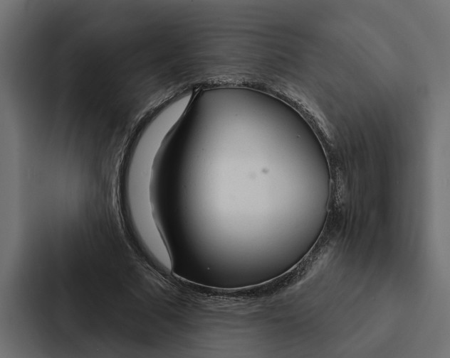 X0000087040681200705160931