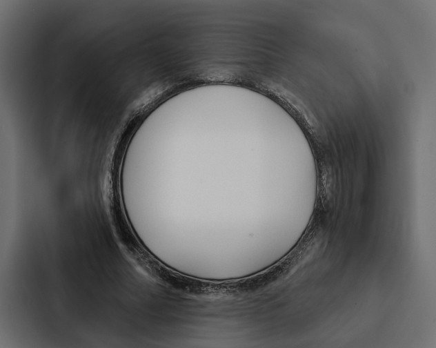 X0000087040682200705160931