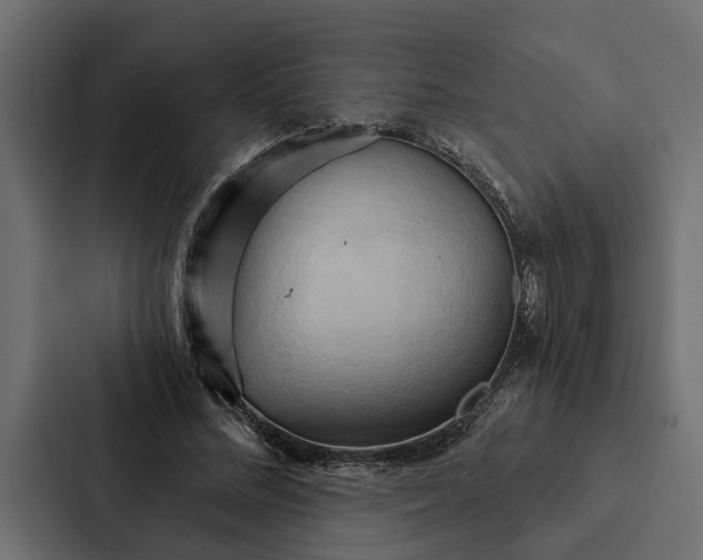 X0000087040684200705160931