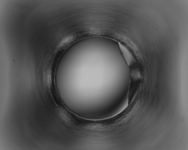 X0000087040685200705160931