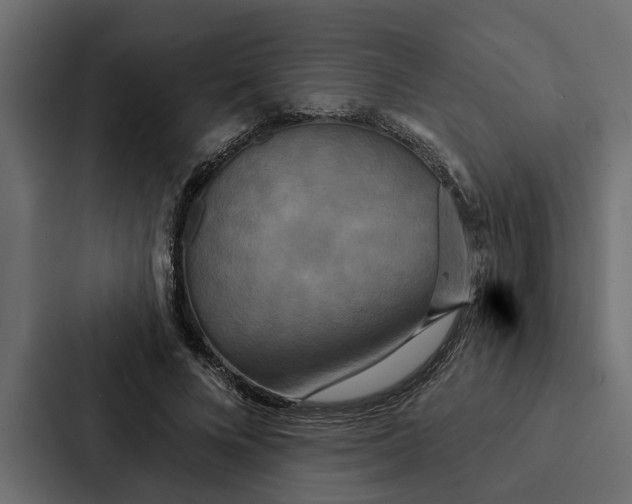 X0000087040688200705160931