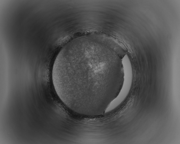 X0000087040689200705160931