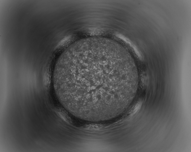 X0000087040691200705160931
