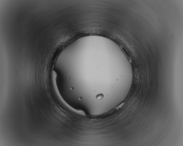 X0000087040692200705160931