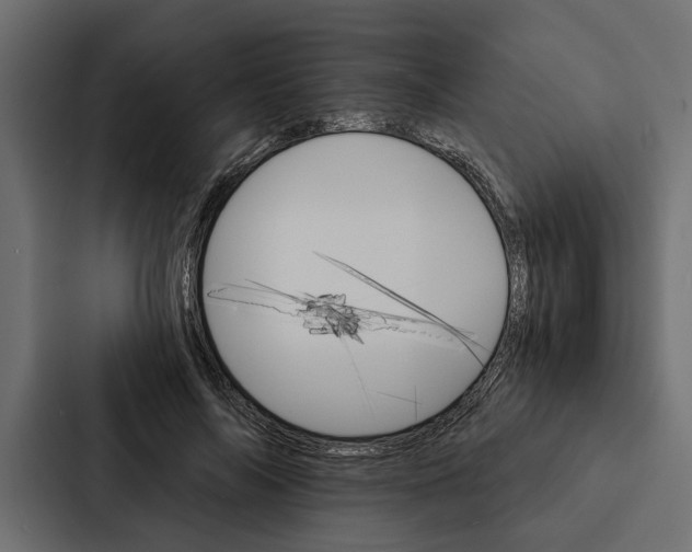 X0000087040694200705160931