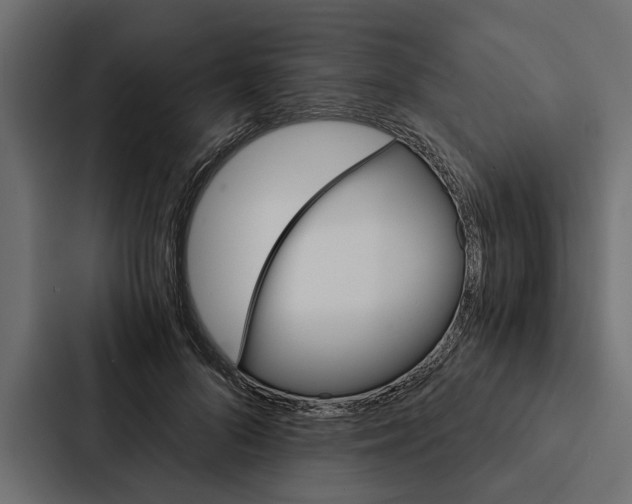 X0000087040696200705160931