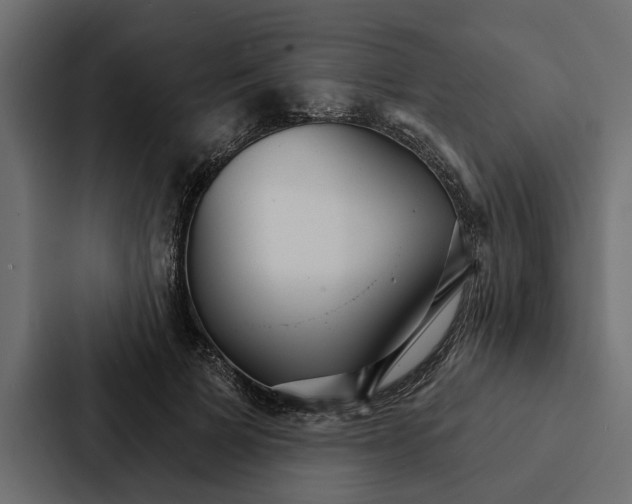 X0000087040697200705160931