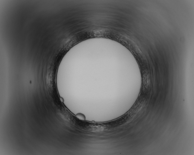 X0000087040698200705160931