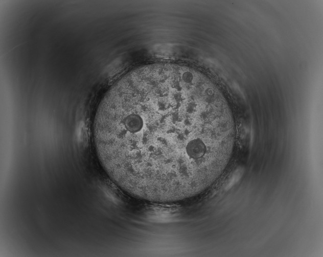 X0000087040707200705160930