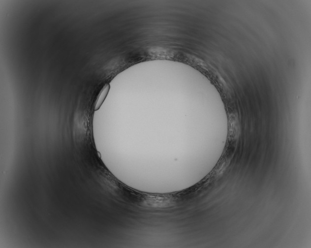 X0000087040713200705160930
