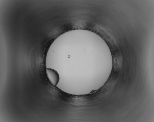 X0000087040714200705160930