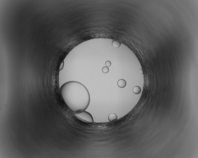 X0000087040715200705160930