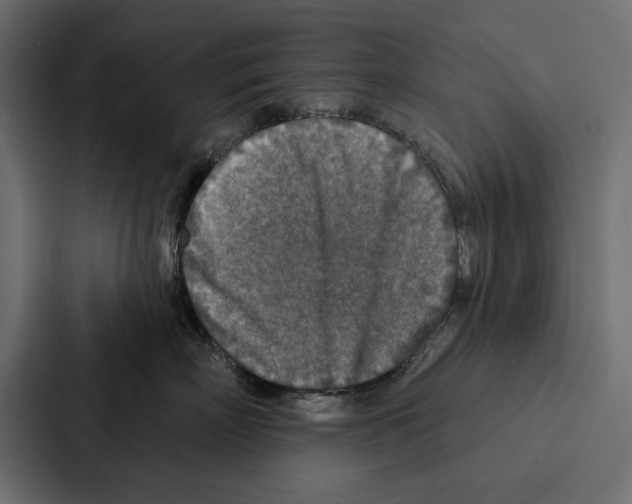X0000087040718200705160930