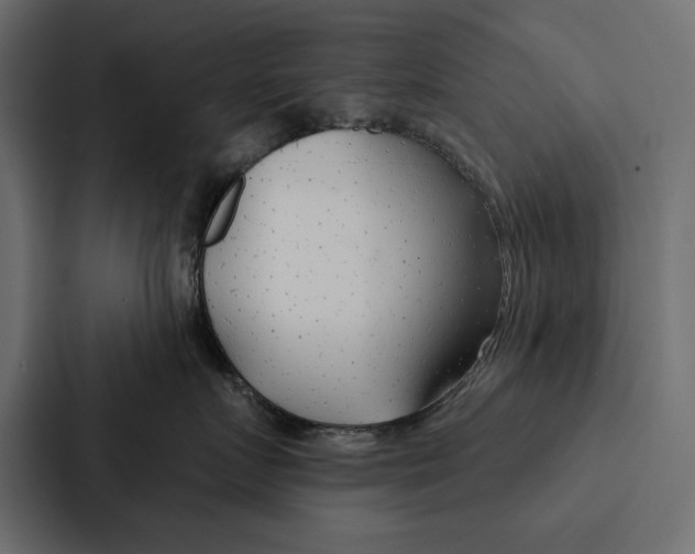 X0000087040719200705160930