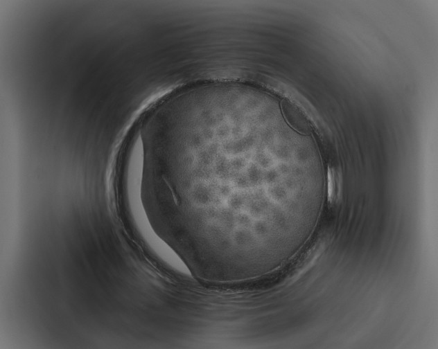X0000087040723200705160930