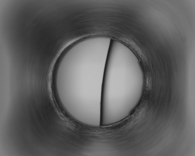 X0000087040724200705160930