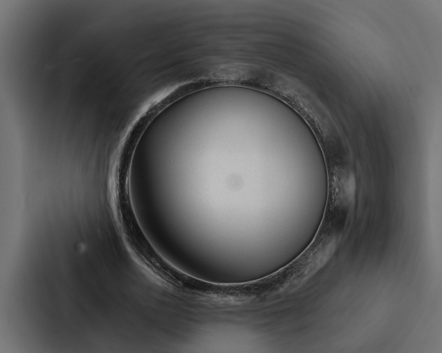 X0000087040726200705160930