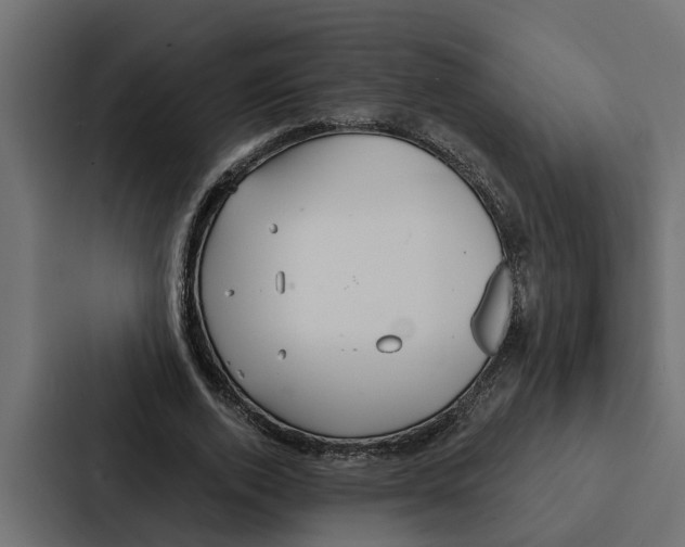 X0000087040728200705160930