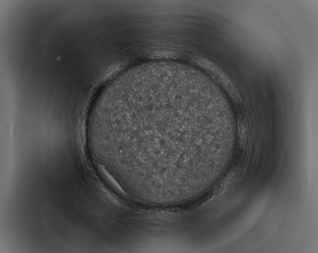 X0000087040729200705160930