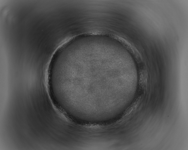 X0000087040730200705160930