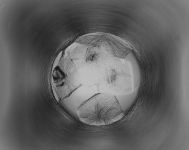 X0000087040733200705160930