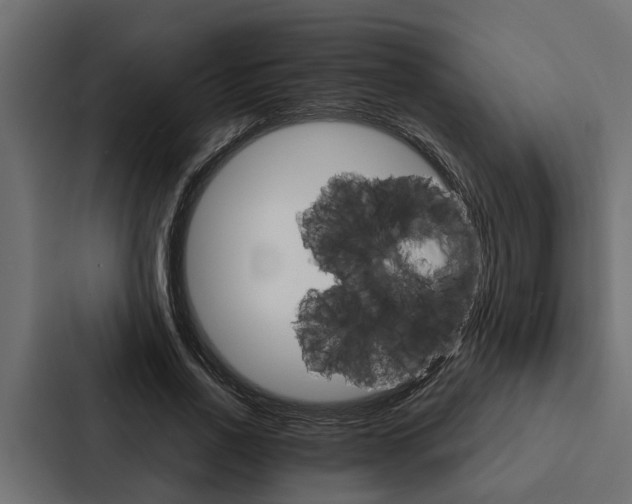 X0000087040734200705160930