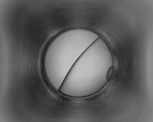 X0000087040736200705160930