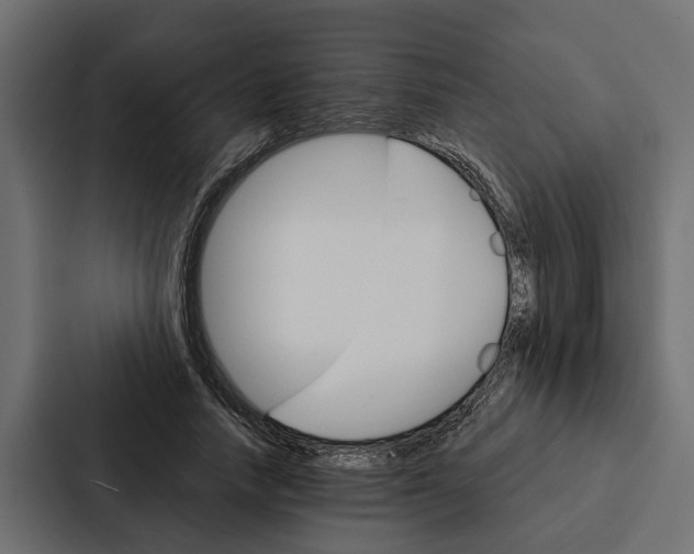 X0000087040738200705160930