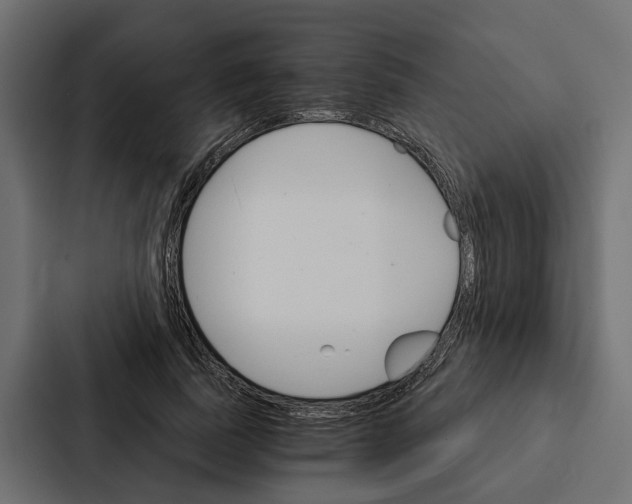X0000087040739200705160930