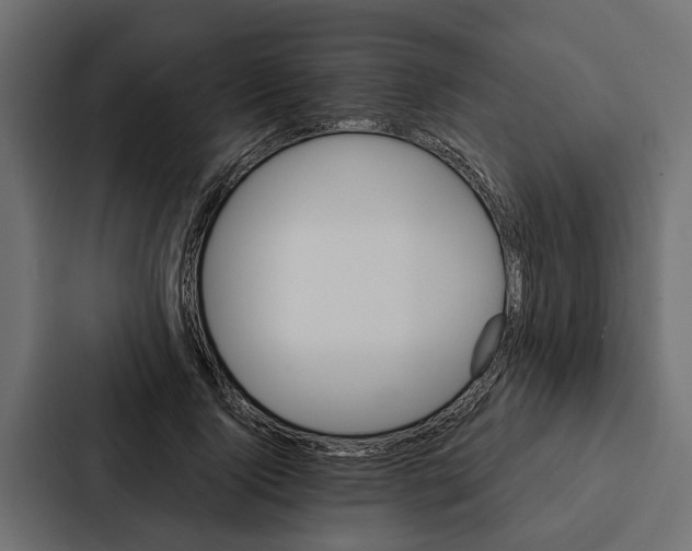 X0000087040740200705160930