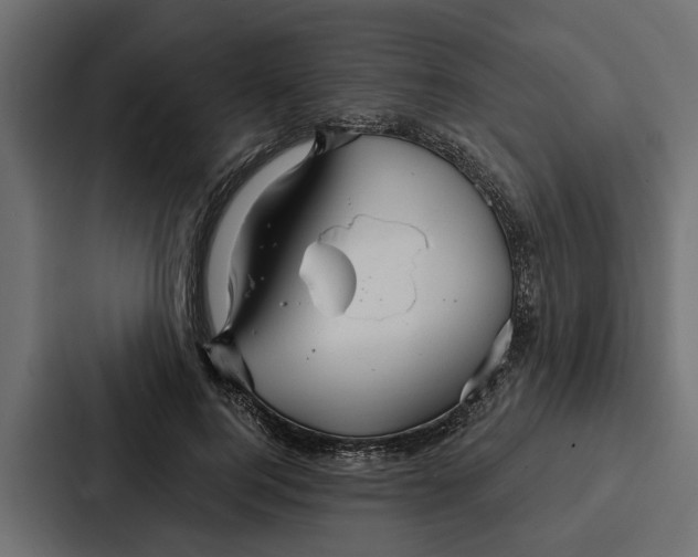 X0000087040744200705160930