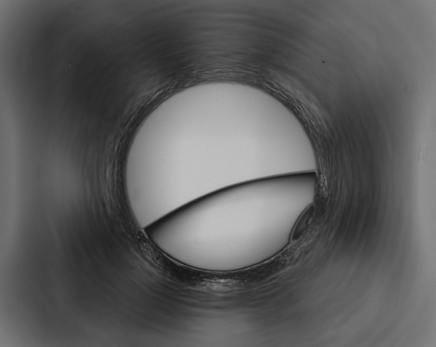 X0000087040748200705160930