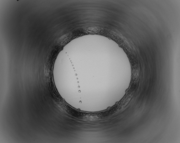 X0000087040749200705160930