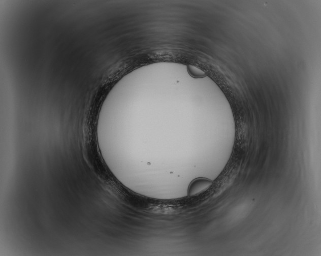 X0000087040751200705160930
