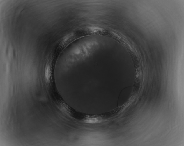 X0000087040754200705160930