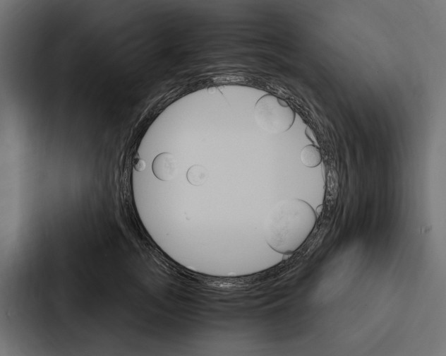 X0000087040755200705160930
