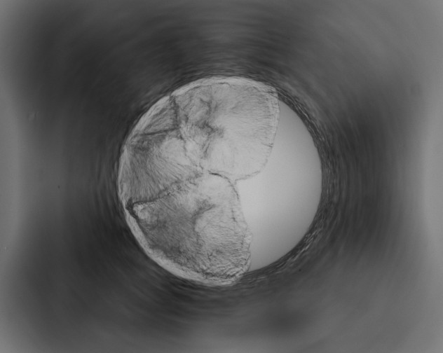X0000087040757200705160930