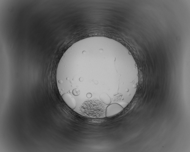 X0000087040758200705160930