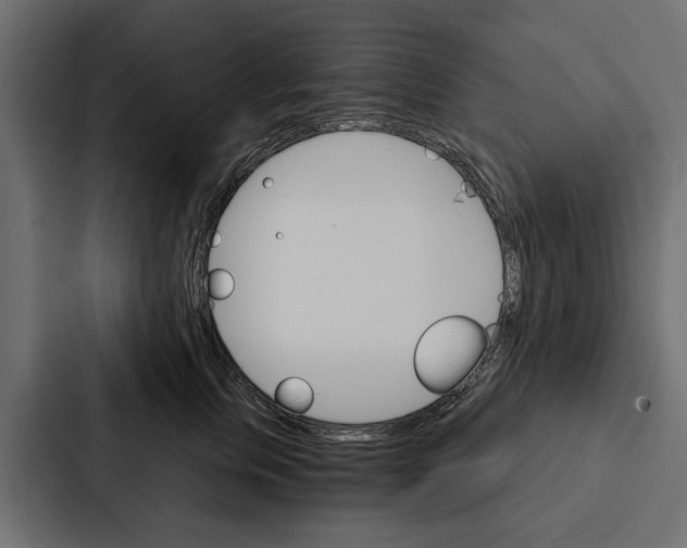 X0000087040759200705160930