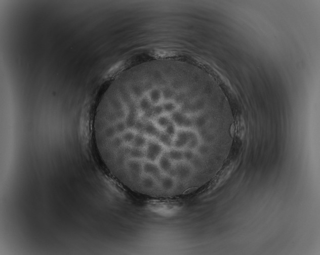 X0000087040763200705160930
