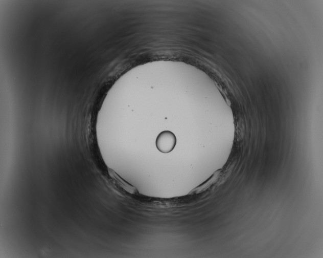 X0000087040764200705160930