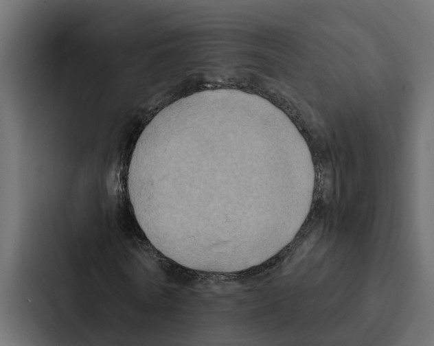 X0000087040770200705160930