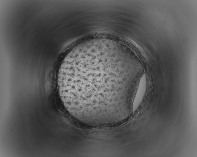 X0000087040775200705160930