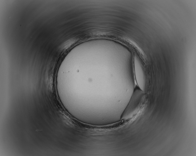 X0000087040777200705160930