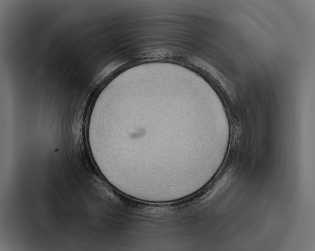 X0000087040778200705160930