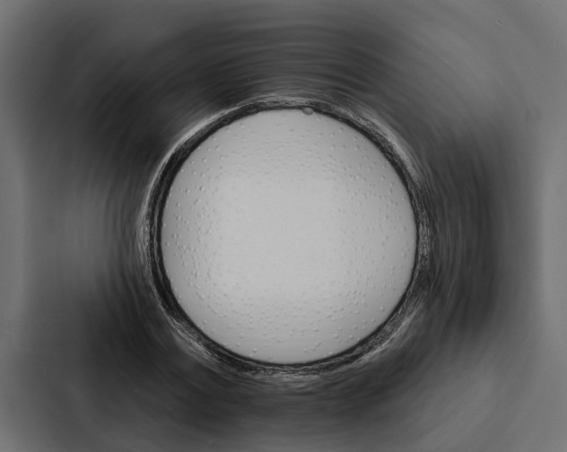 X0000087040779200705160930
