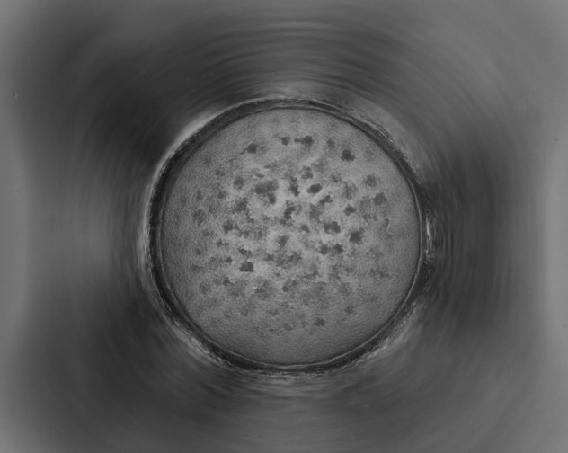 X0000087040780200705160930